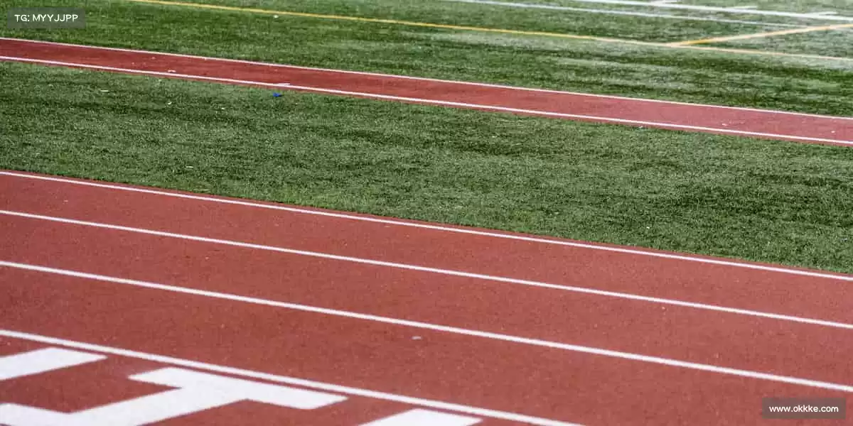 用代码编织梦想，让每个像素都充满故事！🎮